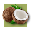 image of a coconut