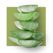 image of aloe