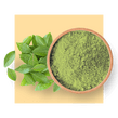 綠茶萃取物
