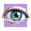 image of an eye