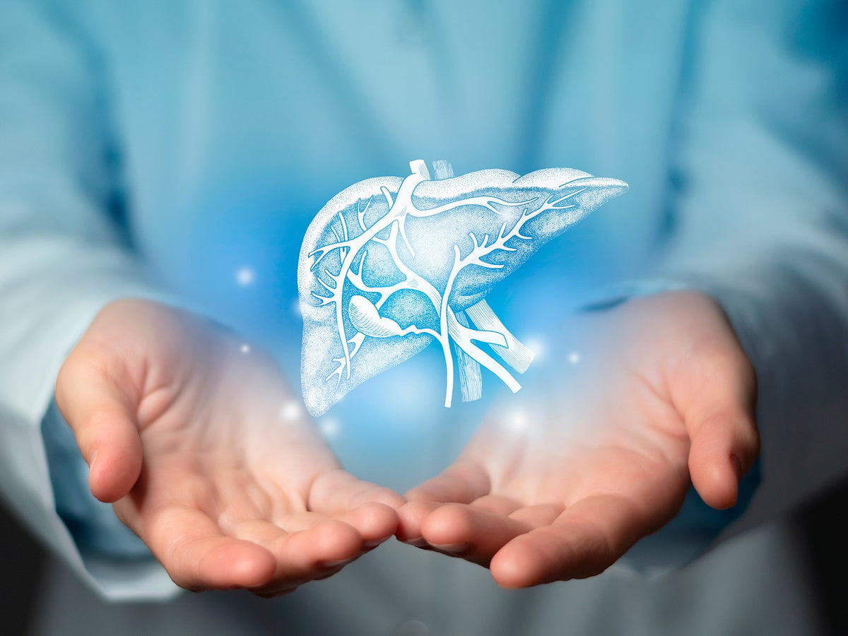 image of hands holding a virtual liver