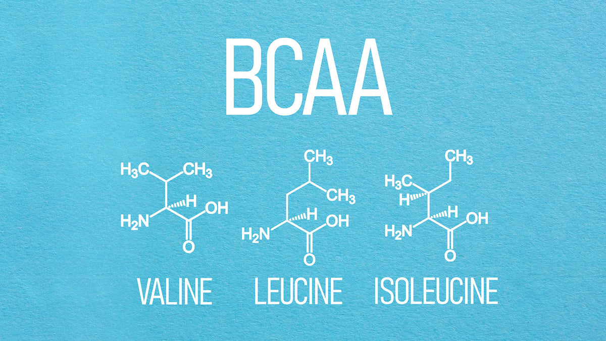 image of Essential Amino Acids