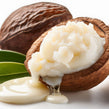 shea seed and butter cream inside