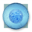 image of a cell