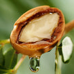 image of Moroccan fruit