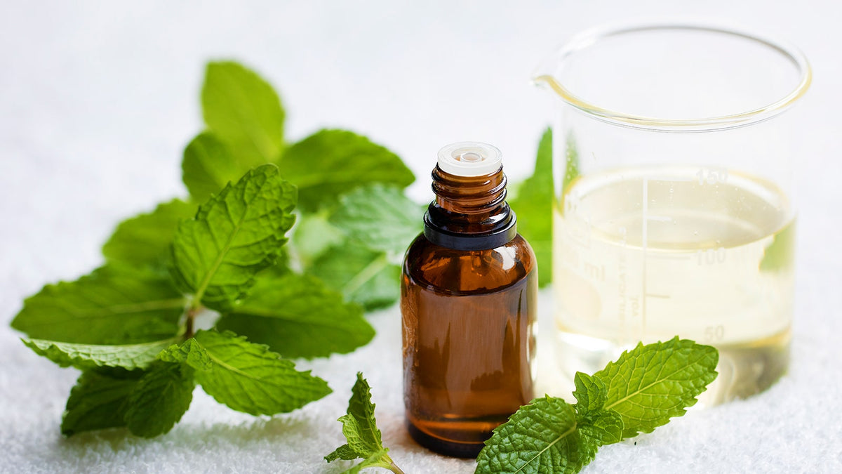 image of mint leaves and mint oil extract