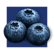 image of blueberries