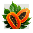 image of papaya