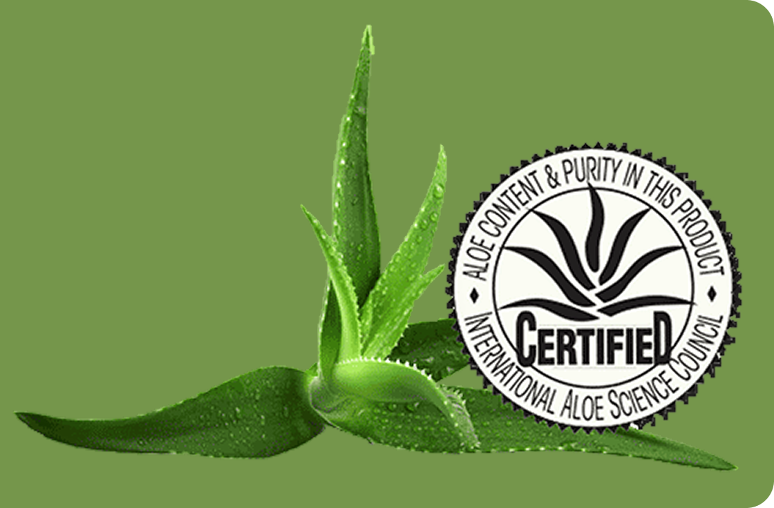 Aloe vera plant with a Certified International Aloe Science Council logo on a green background