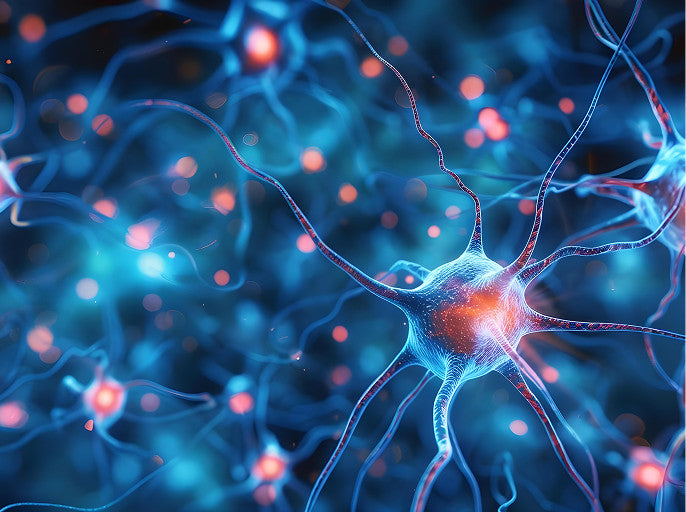 A close-up digital illustration of a glowing blue neuron with red-orange synaptic activity, surrounded by blurred neurons and light dots on a dark background.