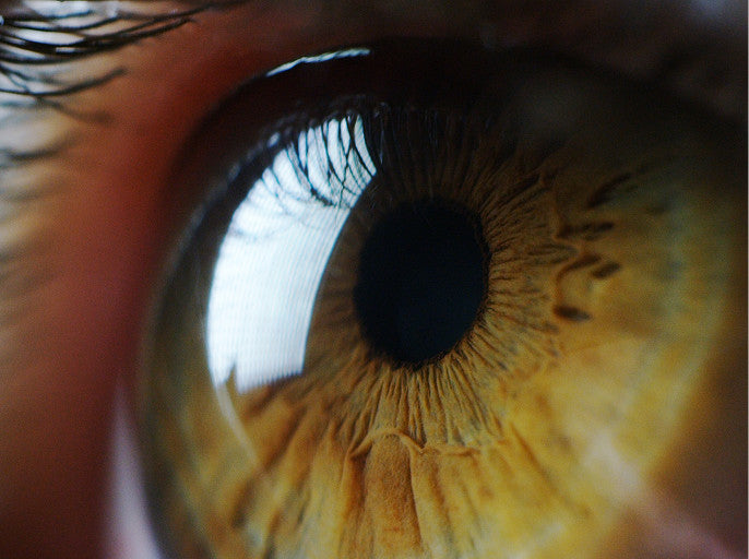 Extreme close-up of a human eye with a golden-yellow iris and a dark pupil, showing eyelashes and surrounding skin.