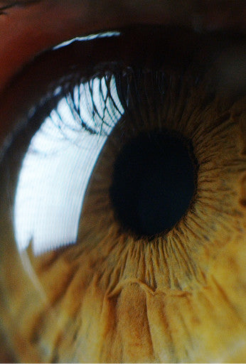 Extreme close-up of a human eye with detailed iris texture, eyelashes, and the pupil, photographed macro.